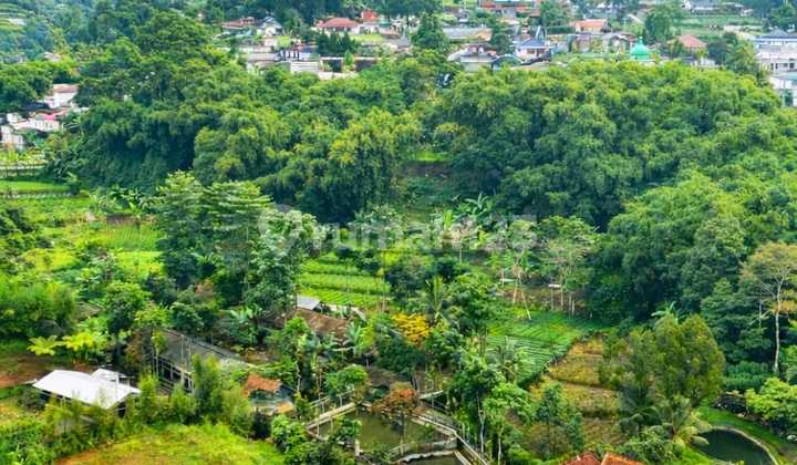 Tanah Murah SHM 500M2 Cisarua Puncak Bogor