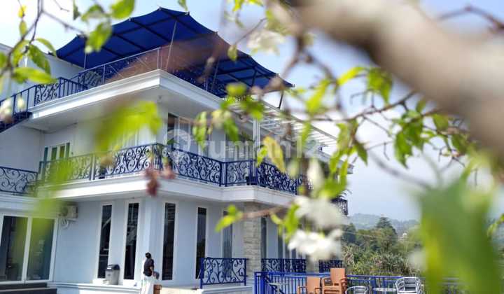 Villa Mewah Dijual Megamendung Puncak Bogor di Kopi Munjul, Jl. Munjul, Sukamanah, Megamendung, Bogor, Jawa Barat, Indonesia, 16770, Bogor Barat