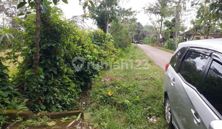 Tanah Murah Shm 3000m2 Sukabumi Surade Citanglar di Kantor Desa, Jl. Raya Citanglar, Citanglar, Surade, Sukabumi, Jawa Barat, Indonesia, 43179, Kota Sukabumi