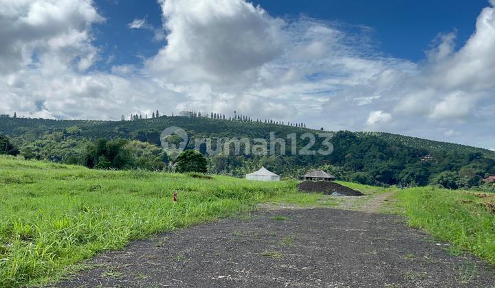 Tanah Dijual 1000M2 Cisarua Puncak Bogor