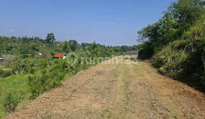 Affordable Land with SHM 500m2 in Cisarua Puncak Bogor, Bumi Sultan, Jl. Singajaya, Jonggol, Jonggol, Bogor, West Java, Indonesia, 16830, Megamendung