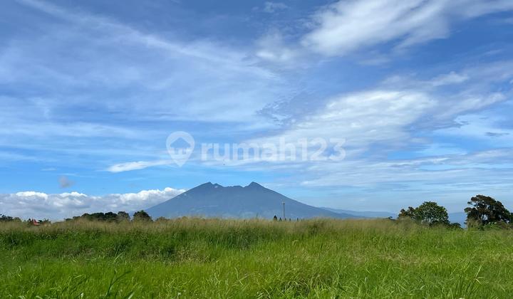 Tanah Cisarua Puncak Bogor 500m2 Tanah Cisarua Puncak Bogor 500m2