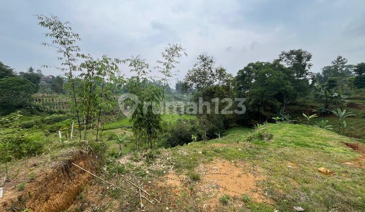 Tanah Murah Shm Megamendung Puncak Bogor