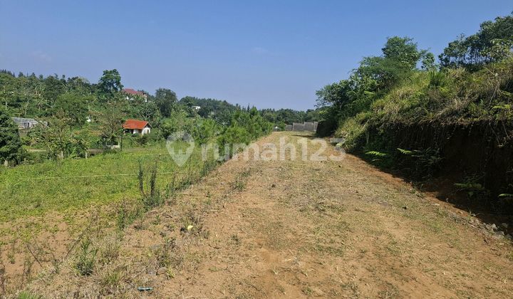 Tanah Shm Murah 500m2 Cisarua Puncak Bogor di Pasar, Jl. Pasar Cisarua, Cisarua, Cisarua, Bogor, Jawa Barat, Indonesia, 16750, Cisarua Tanah Shm Murah 500m2 Cisarua Puncak Bogor di Pasar, Jl. Pasar Cisarua, Cisarua, Cisarua, Bogor, Jawa Barat, Indonesia, 16750, Cisarua