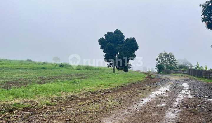 Tanah Dijual 1000m2 Cisarua Puncak Bogor Tanah Dijual 1000m2 Cisarua Puncak Bogor
