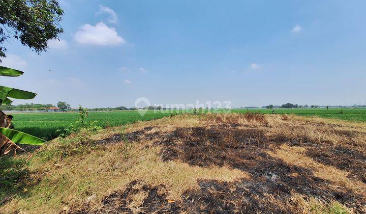 Tanah di Desa Mayasuta Dekat Purwadadi Kab. Subang 2