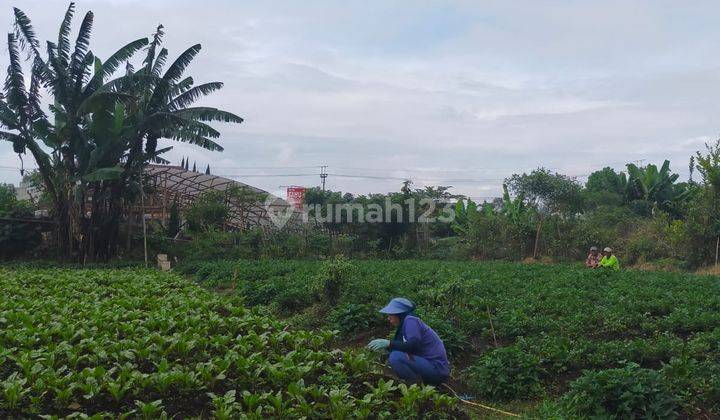 Jual Cepat Tanah di Kolonel Masturi, Lembang 2