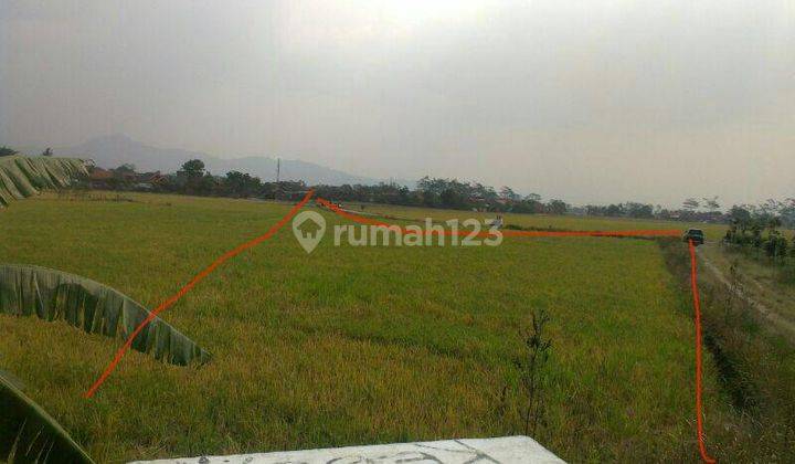 Tanah Sawah Daerah Sapan Jalan Sudah Hotmix  2