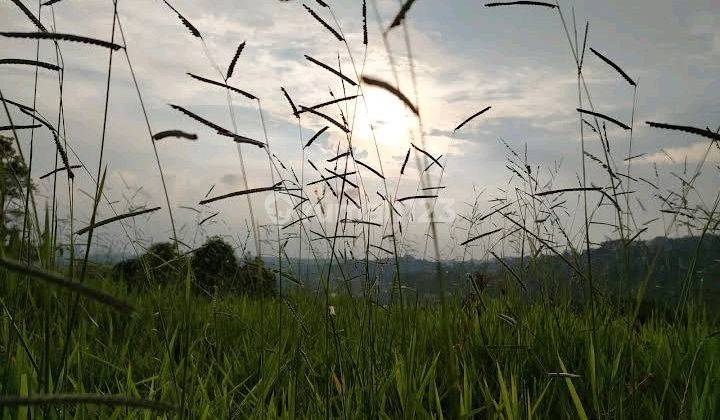 Tanah Kavling Citra Green Dago View Bandung Dan Pegunungan 2