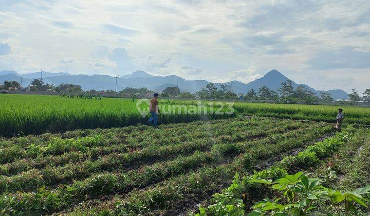 Tanah di bawah Pasaran dekat Tki V Taman Kopo Indah 5 2