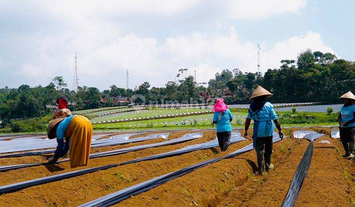 Tanah Cipada Cikalong Wetan Bandung Barat 2