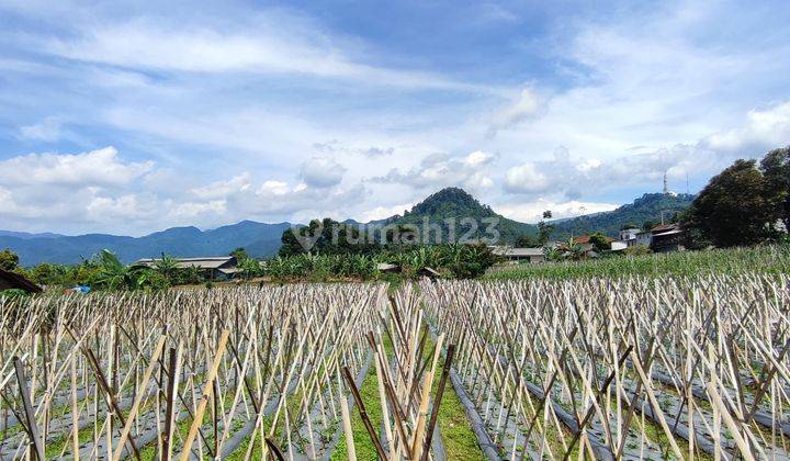 Tanah Kebun di Ciater Dekat Dengan D Castello 2