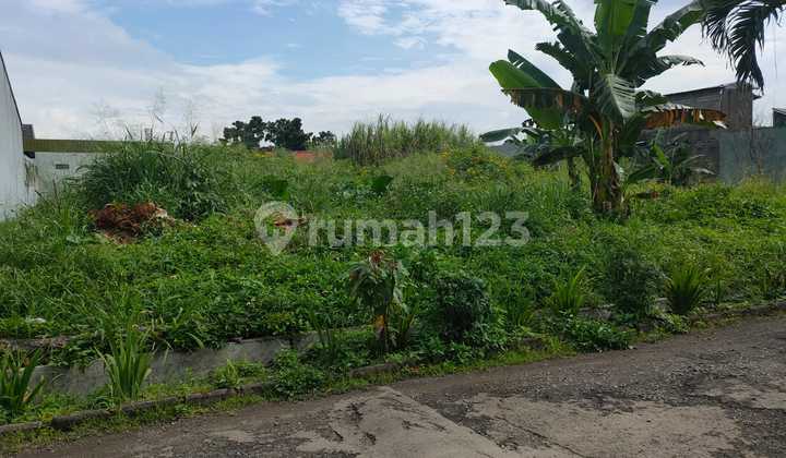 Land can be used for a Padel Court in the BKR Wing.
