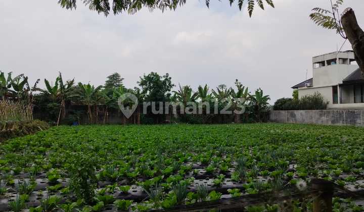 Jual Sewa Tanah Setiabudi Indah Dekat Hotel Gh Universal