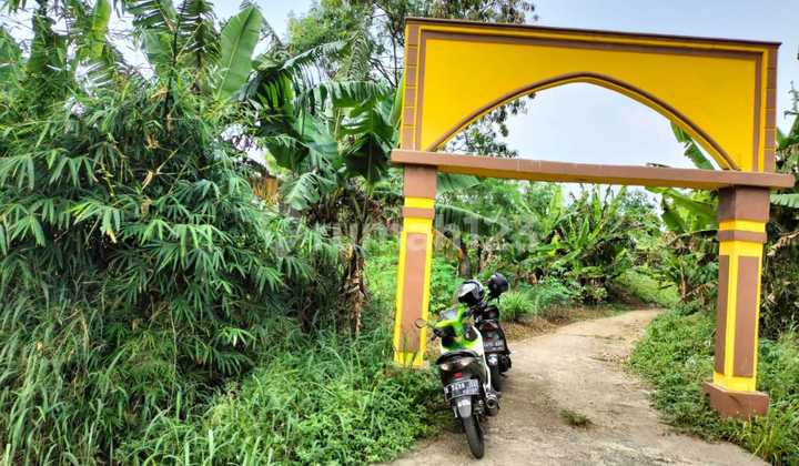 Tanah Strategis di Baleendah Bojong Malaka