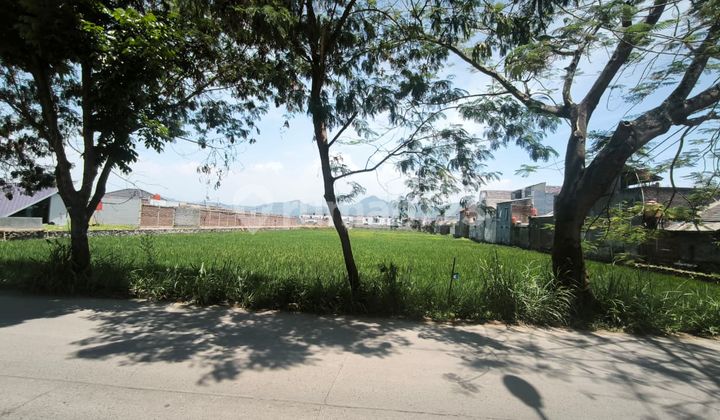 Tanah Sawah Cocok untuk Perumahan di Cikoneng dekat Podomoro Tanah Sawah Cocok untuk Perumahan di Cikoneng dekat Podomoro