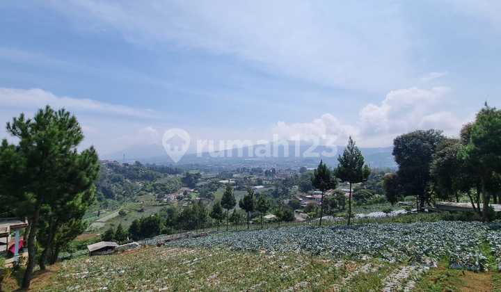 Tanah Kavling Punclut Cocok Villa Rumah Makan Cafe