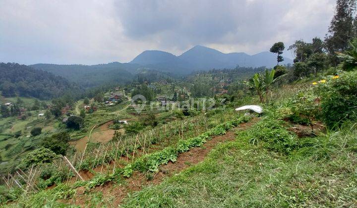 Tanah Pinggir Jalan di Gambung Pasirjambu 1