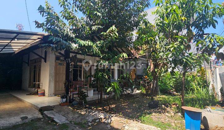 Rumah Tua Hitung Tanah Saja di Kiaracondong 1