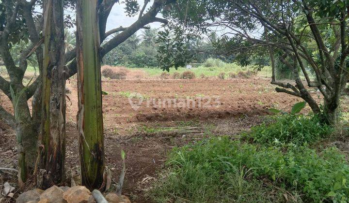 DIJUAL TANAH DARAT CISEENG, COCOK UNTUK PERUMAHAN 5