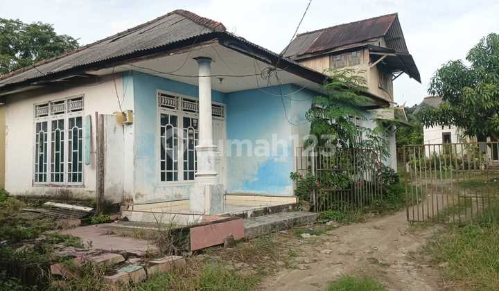 Wide Land Ready to Live In, Suitable for Residence and Business, Freehold Title 1