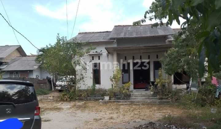 Wide Land Ready to Live In, Suitable for Residence and Business, Freehold Title 2