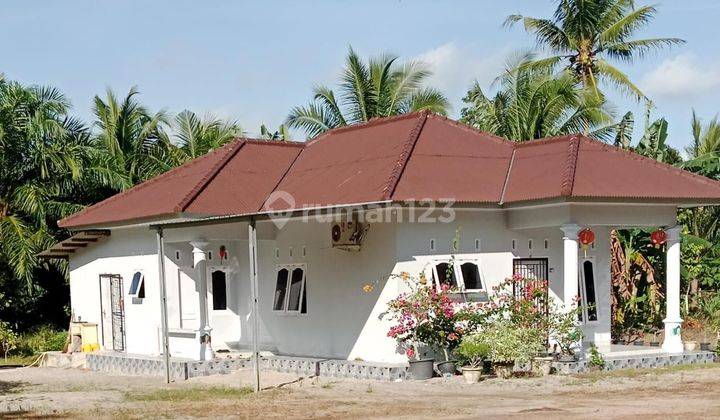 Di Jual Rumah Hunian. Area Pemukiman Warga.lokasi Nyaman Tenang Cocok Buat Hunian di Sungailiat 1