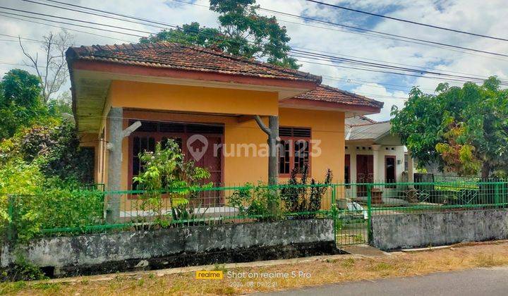 Jual Rumah Jalan Kalamaya Semabung. Kondisi Rumah Bagus. Siap Huni 1