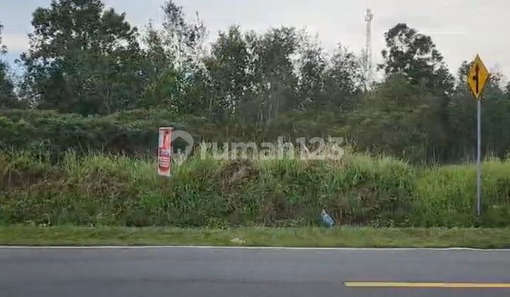 Tanah Pinggir Jln Raya Kurau . Koba. Cocok Buat Tempat Tinggal atau Usaha