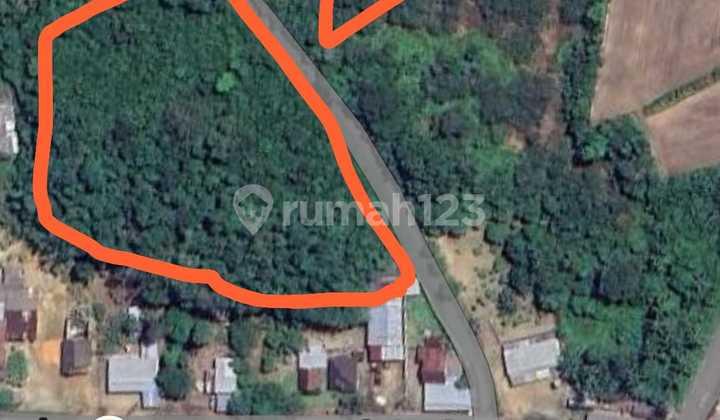 Dijual Tanah Luas Buat Hunian Dan Kebun Pinggir Jalan Raya. 
