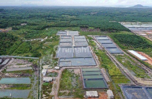 Dijual Lahan Tambak. 20 Hektar Tj. Krasak. 7,5 Hektar Sudah Ada Kolam  1