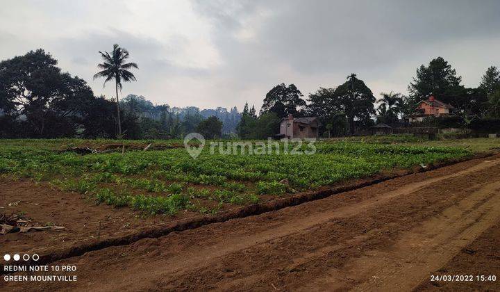 Jual Tanah Pinggir Jln Disukamanah Legalitas Shm 3