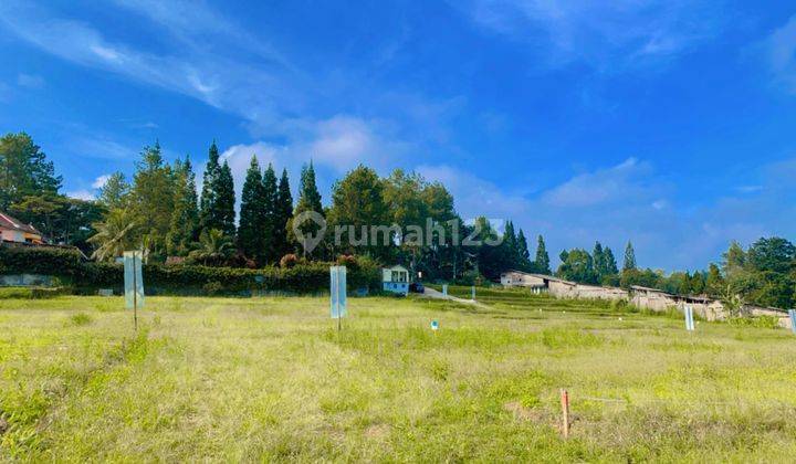 Jual Tanah Pinggir Jln Dialternatif Tol Ciawi Dan Gadog 4