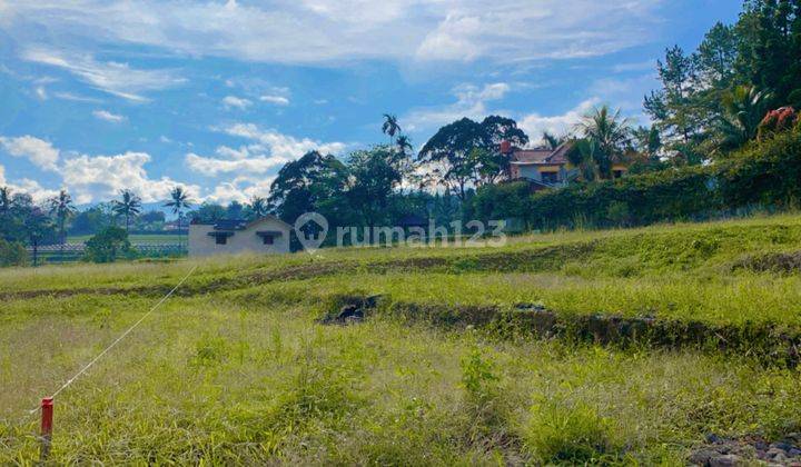 Jual Tanah Kavling Villa Special Promo Kemerdekaan 4