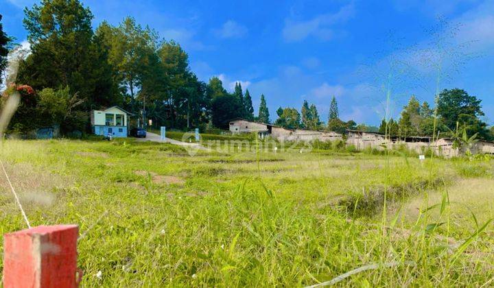 Jual Tanah Kavling Villa Special Promo Kemerdekaan 5