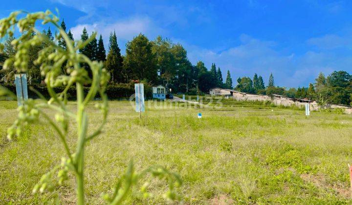 Jual Tanah Pinggir Jln Dialternatif Tol Ciawi Dan Gadog 5