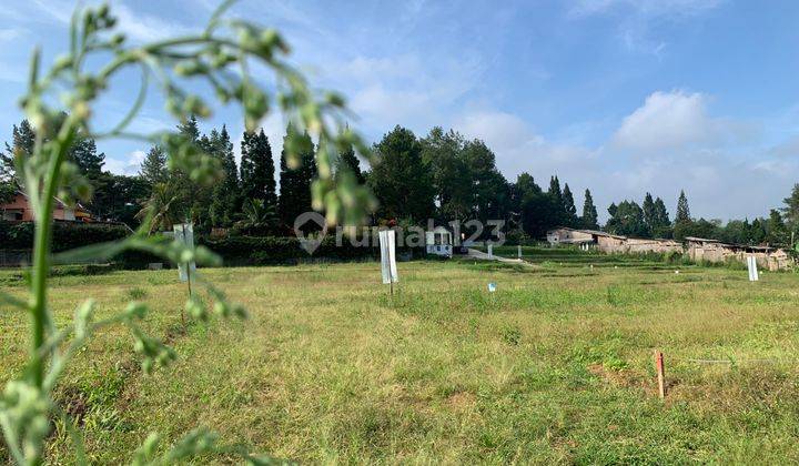 Jual Tanah Kavling Villa Special Promo Kemerdekaan 8