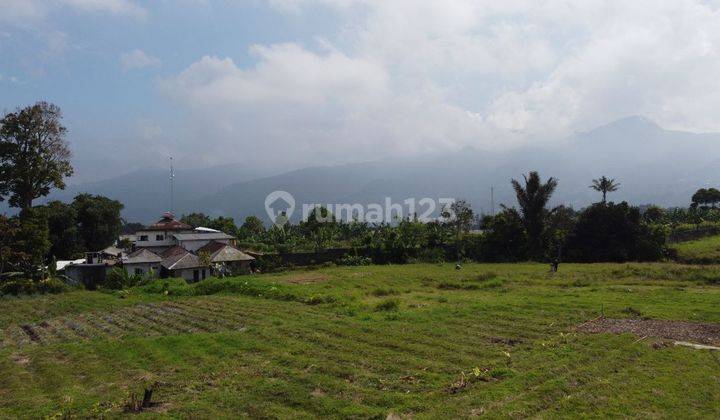 Tanah skala kecil di lokasi strategis          2