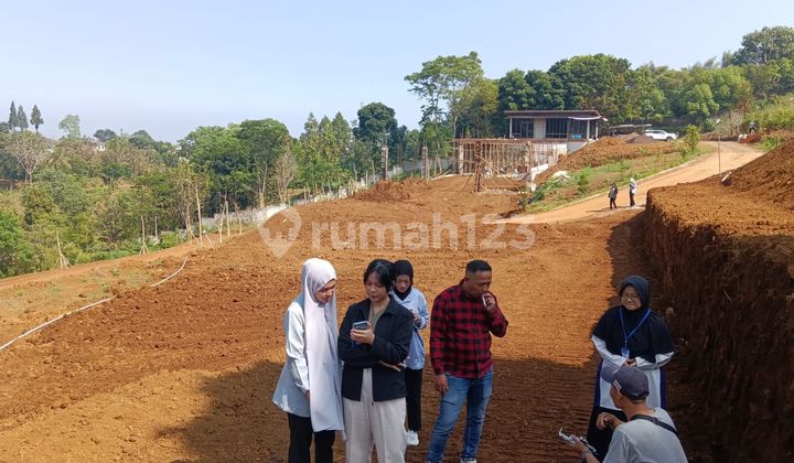 Tanah Murah Di Cisarua Megamendung Bogor Cocok Bangun Villa