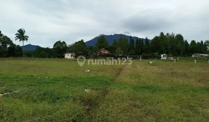 Jual tanah strategis di jalan alternatif puncak cisarua bogor 1