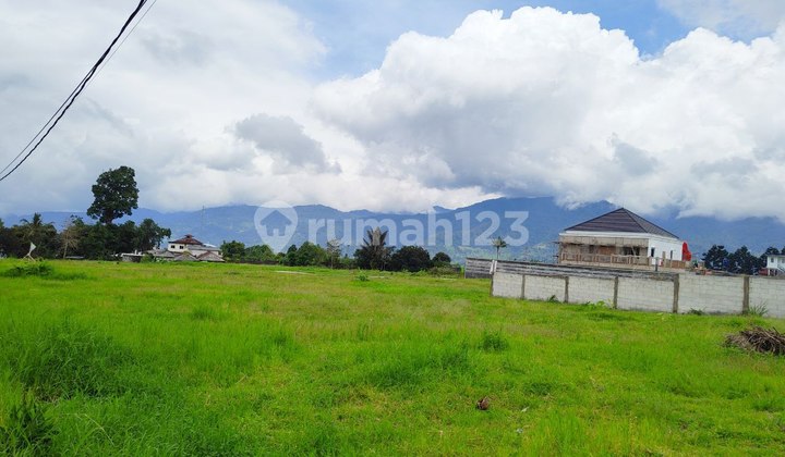 Jual tanah di puncak bogor cocok bangun villa