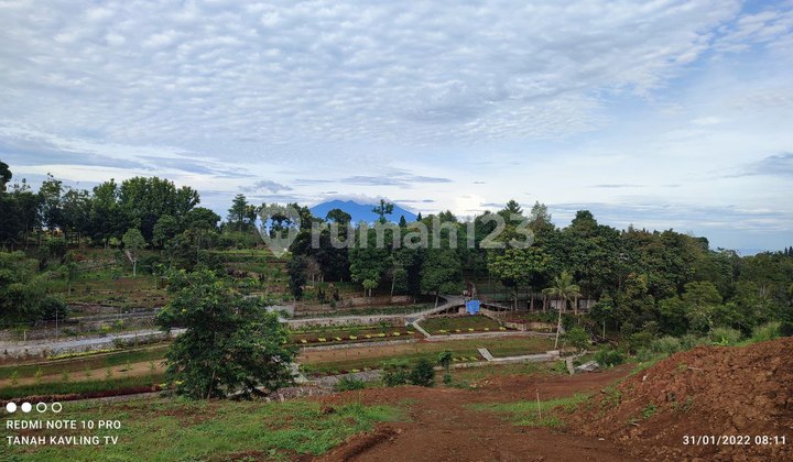 Jual tanah cocok bangun villa di pumcak cisarua bogor