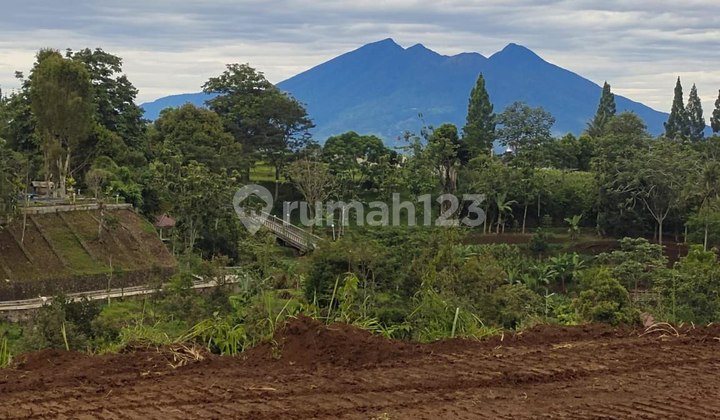 Jual tanah kontur khas puncak cisarua bogor 