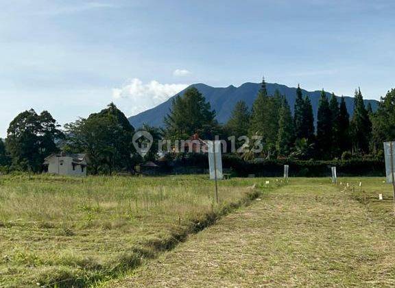 Jual tanah di megamendung siap bangun rumah atau villa 1