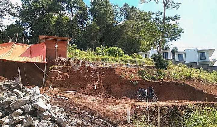 Jual tana di warudoyong kuta megamendung bogor