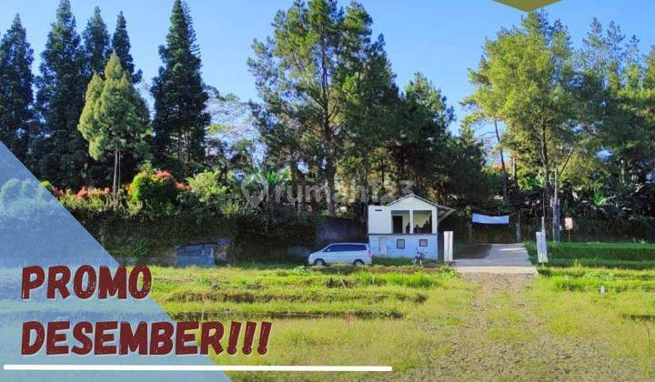 Jual Tanah Siap Bangun cocok bikin villa dan rumah singga puncak 1