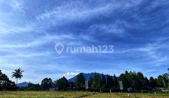 Jual Tanah Cocok Inves Untuk Masa Tua Siap bangun di puncak Bogor Jual Tanah Cocok Inves Untuk Masa Tua Siap bangun di puncak Bogor