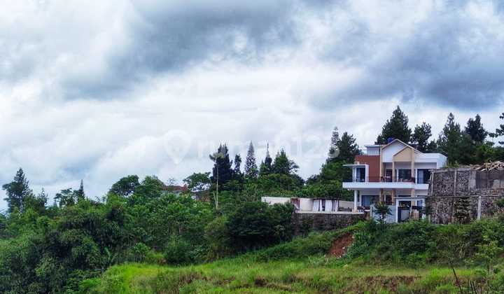 Land in the valley adjacent to the alternative route to Puncak Cisarua Bogor. Land in the valley adjacent to the alternative route to Puncak Cisarua Bogor.