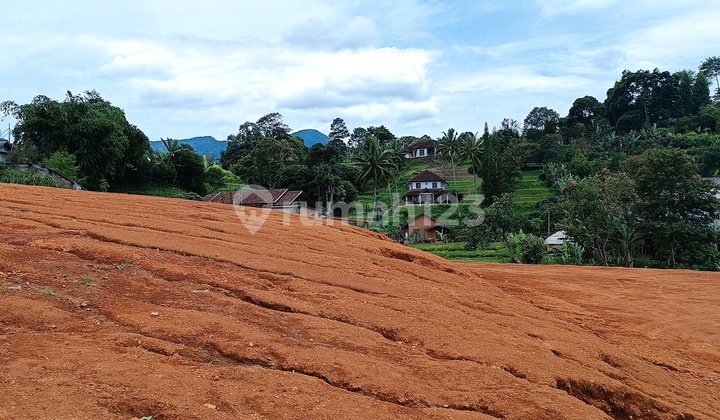 Tanah Siap Bangun Di Puncak Bogor Cocok Bangun Villa Komersial
