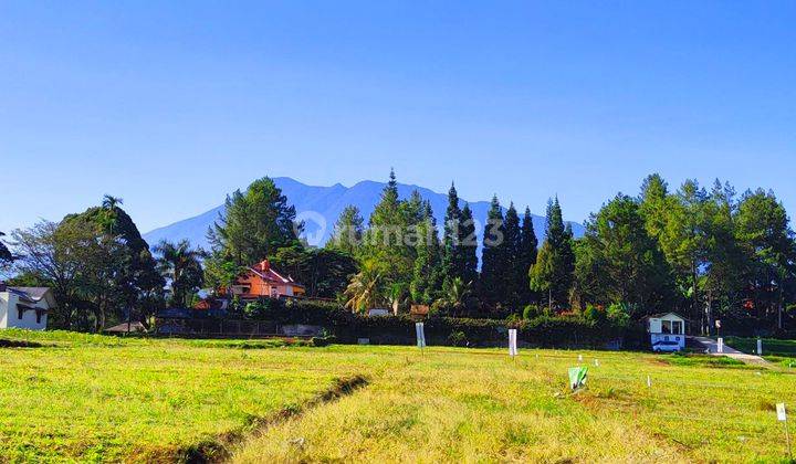 Jual Tanah Kavling Diwisata Puncak Cisarua Bogor kavling termurah 1